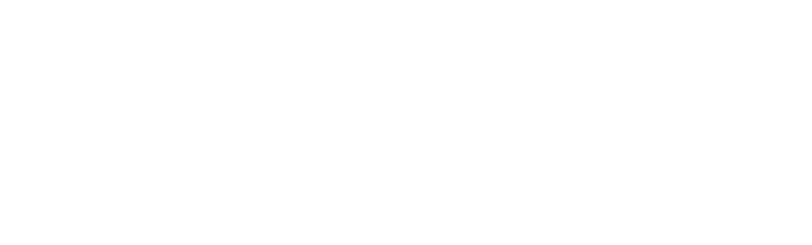 TEAM-X
